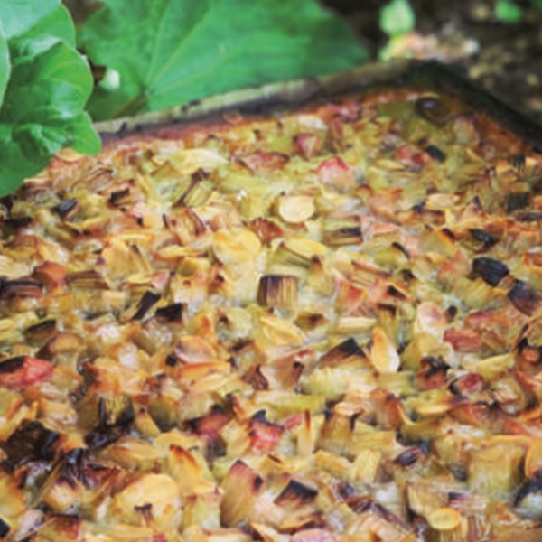 RABARBERU KŪKA AR MEDUS&nbsp;GLAZŪRU